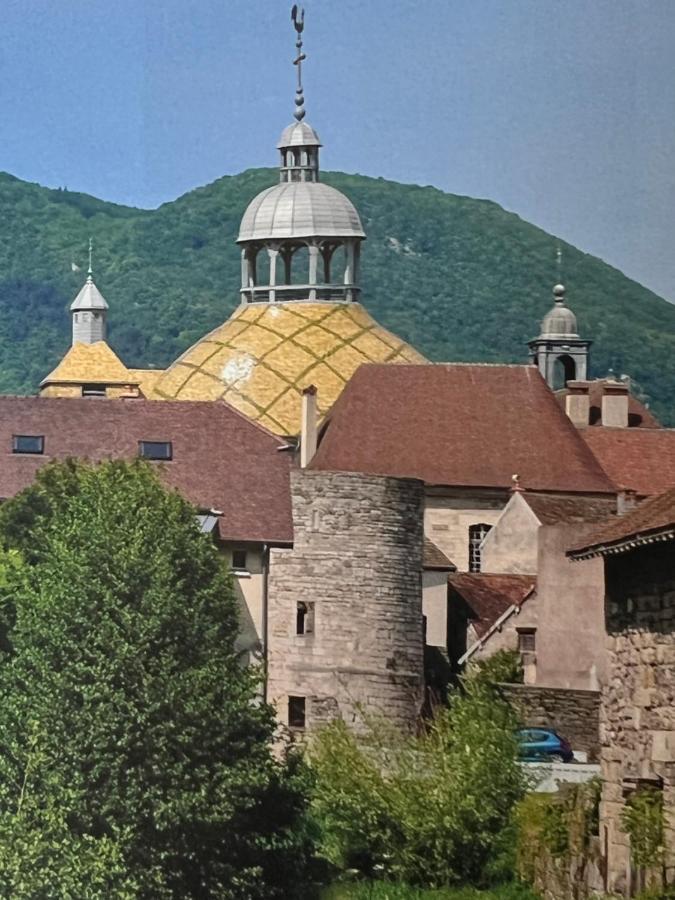 Apartament Le Salinois Salins-les-Bains Zewnętrze zdjęcie